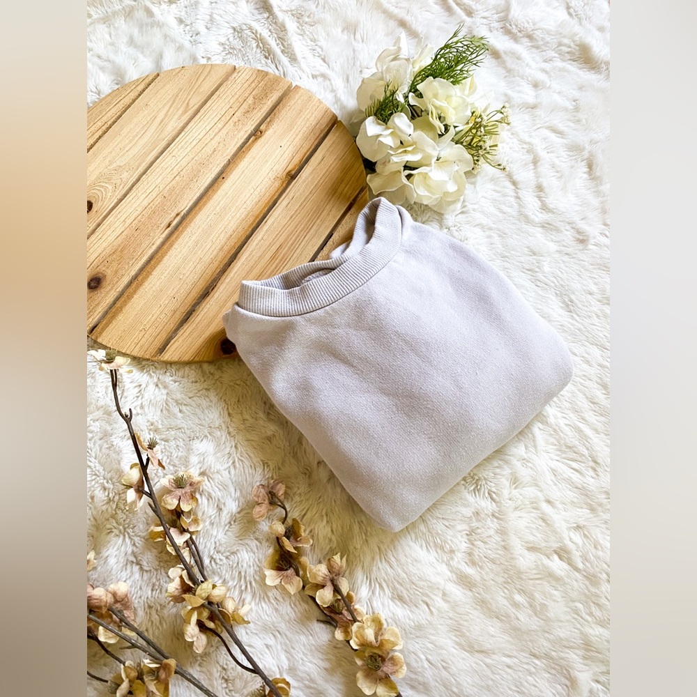 Wild Fable | Cropped Light Grey Sweatshirt